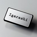 品番SWM-1 枠付ミニ シルバーネームプレート